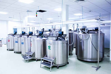 Трансплантация костного мозга и гемопоэтических стволовых клеток